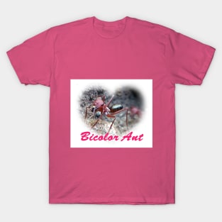 Bicolor Ant T-Shirt